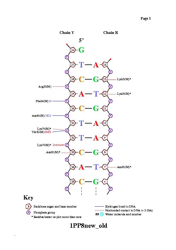 Трихомониаз, Trichomonas vaginalis, ДНК методом REAL TIME ПЦР - качеств.