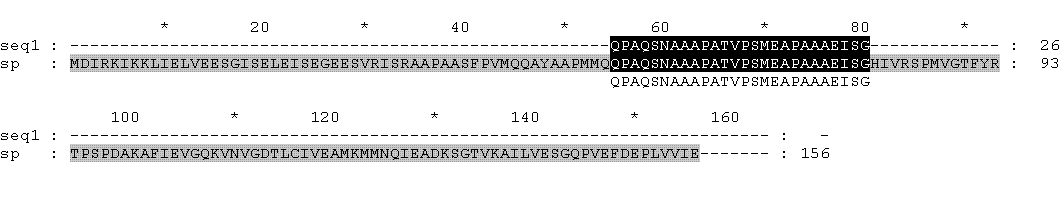     BCCP_ECOLI c  