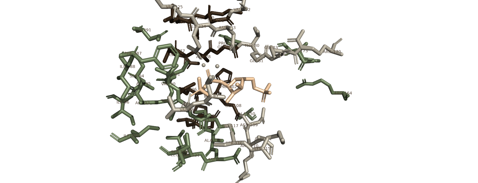 Структура активного центра