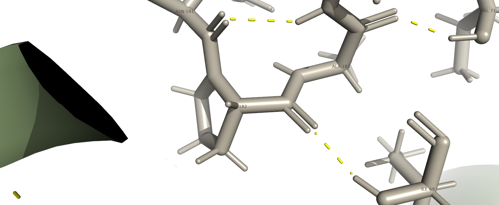 Водородные связи, затрагивающие атомы остова цепи