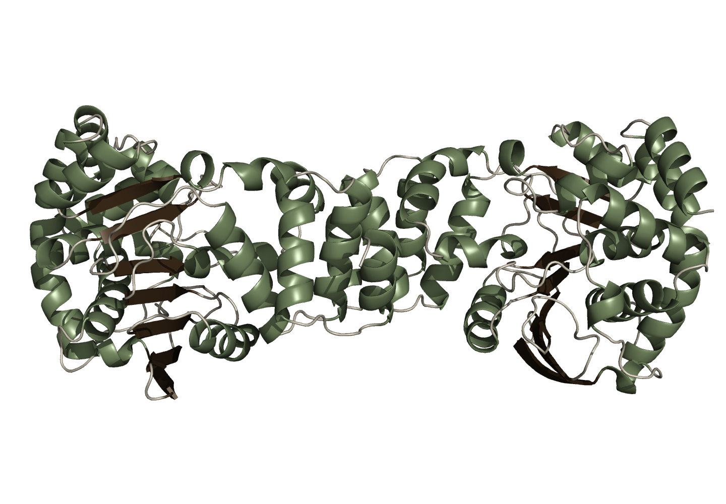 Структура антранилат фосфорибозилтрансферазы