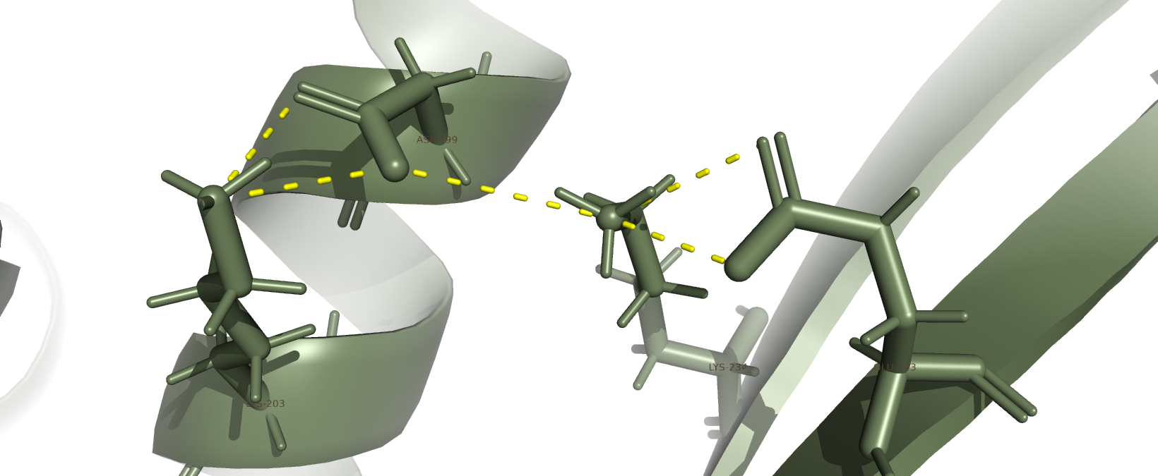 Солевые мостики в структуре антранилат фосфорибозилтрансферазы