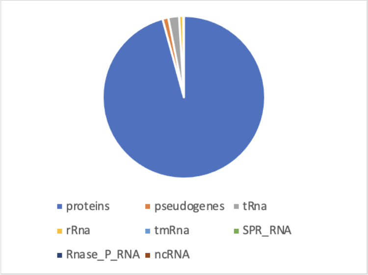 gene ori