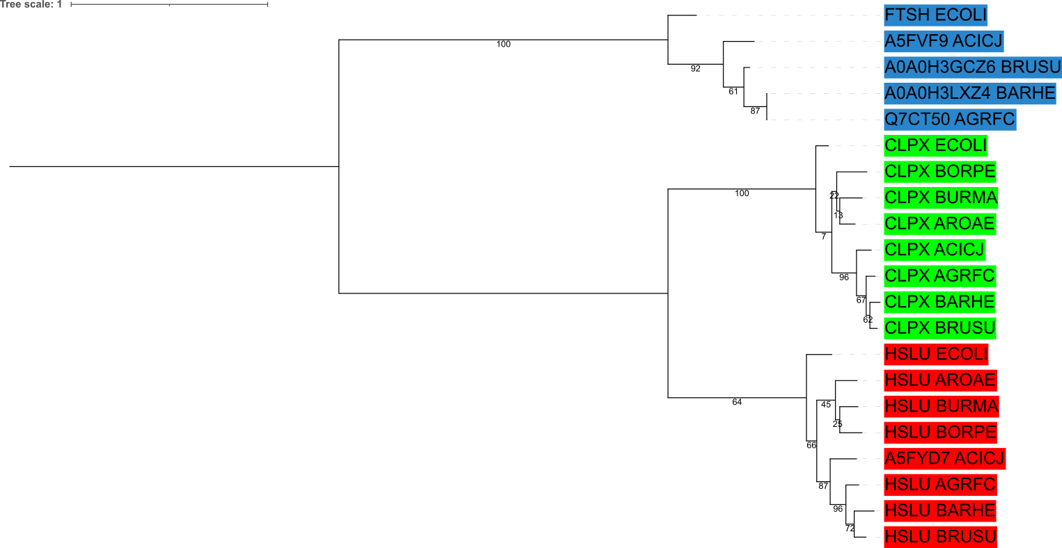 Nucleotides