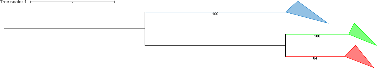 Nucleotides