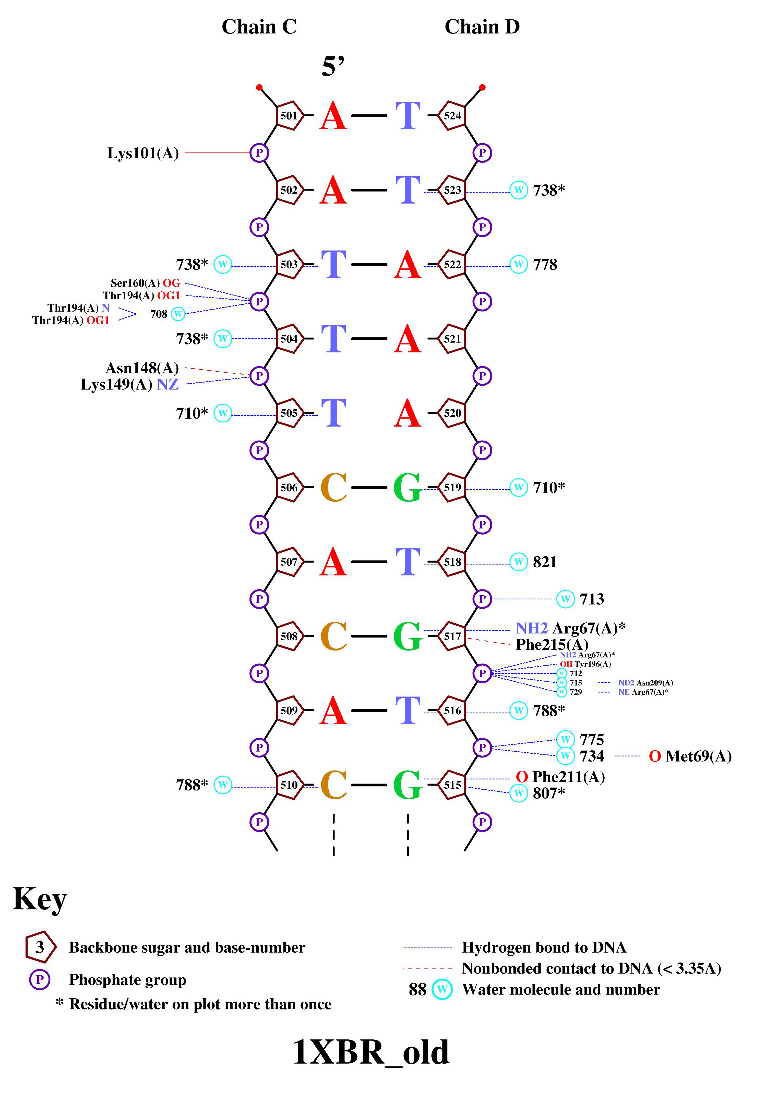 DNA-protein_contacts