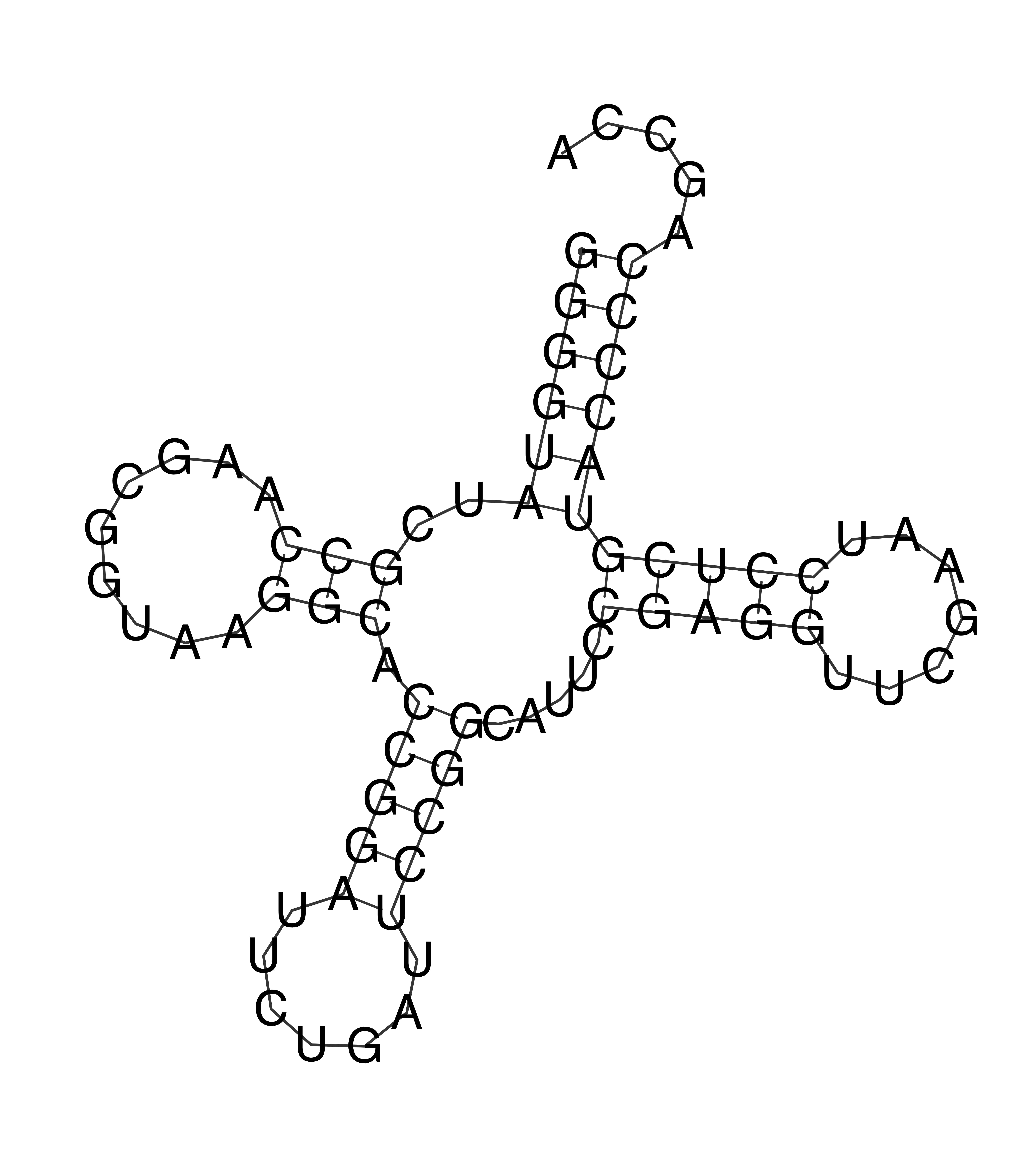 tRNA_vis.jpg