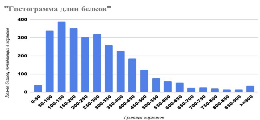 Рисунок 1. Гистограмма длин белков Euzebya pacifica