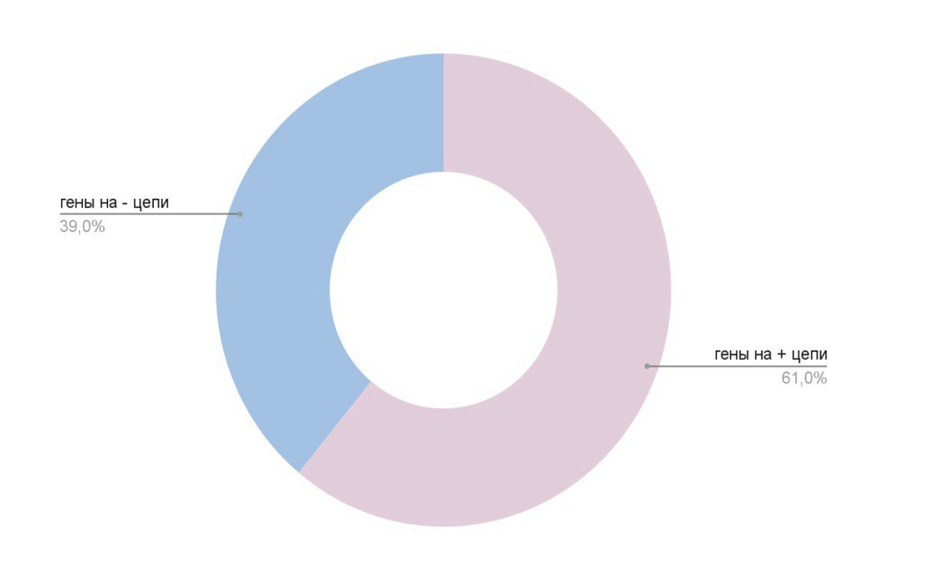 Рисунок 5. Плазмида