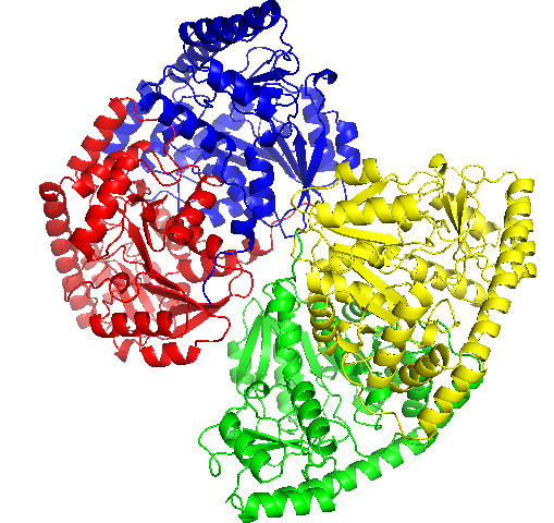 Общий вид структуры 1BKG