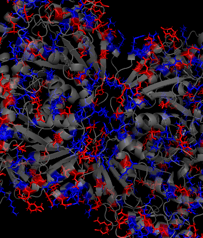 Солевые мостики