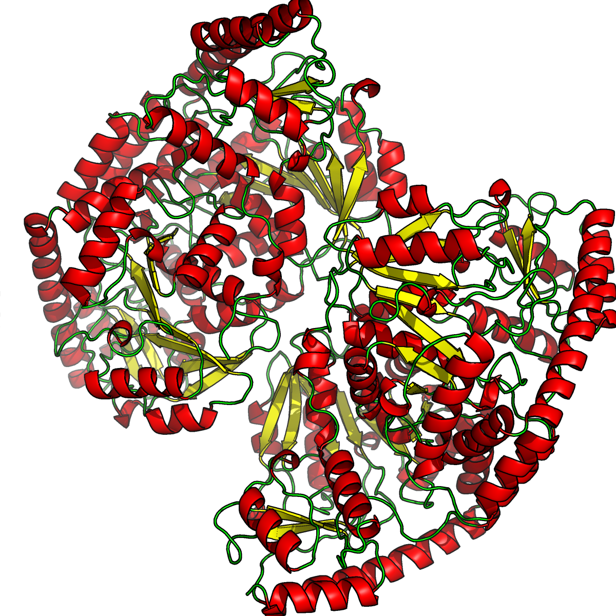 Вторичная структура 1BKG