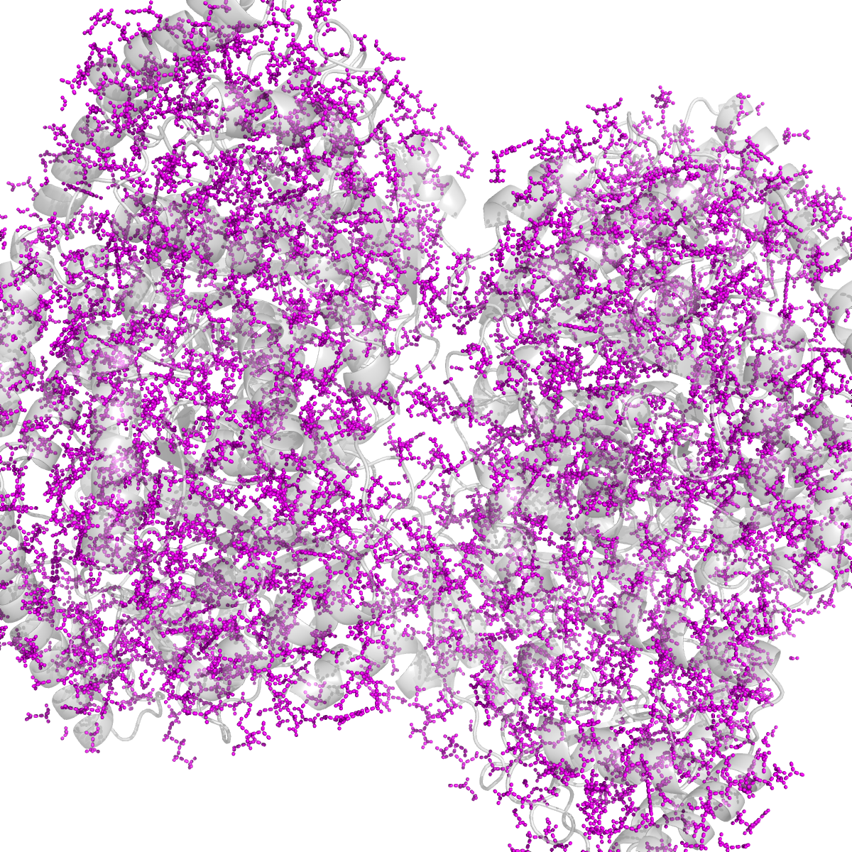 Водородные связи боковых цепей