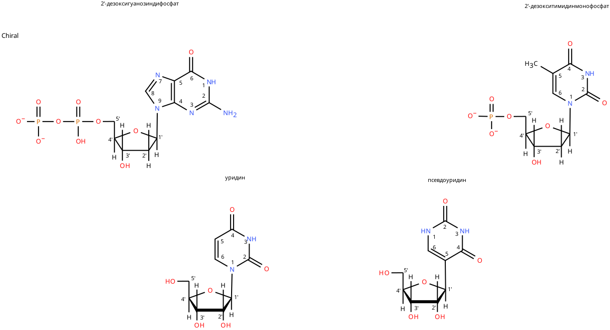 Упражнение 1: Нуклеотиды и нуклеозиды