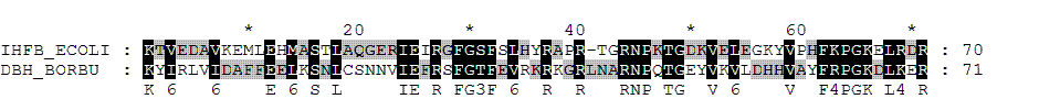  ,      msf