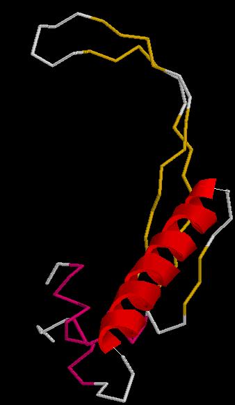 Chain B Alpha-helix