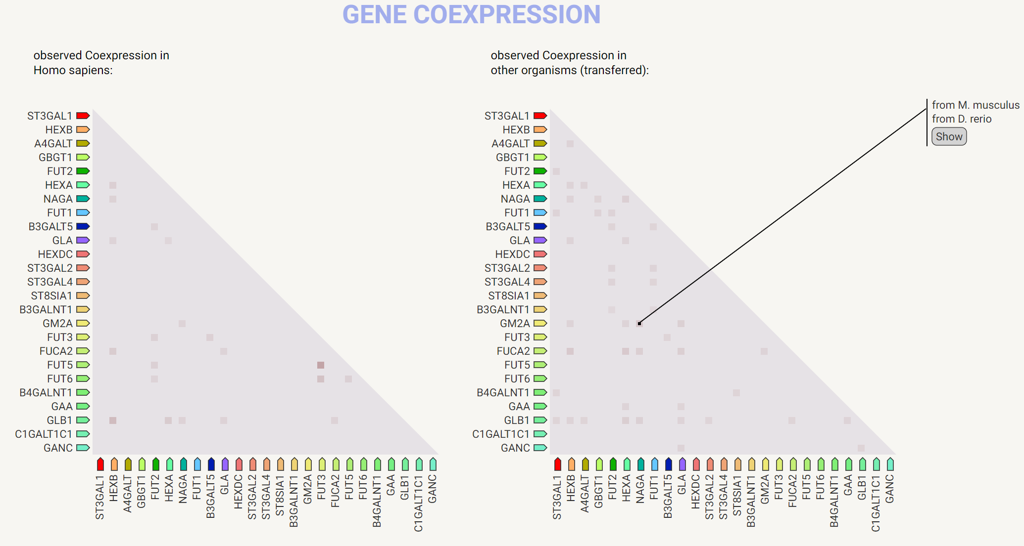Gene coepression