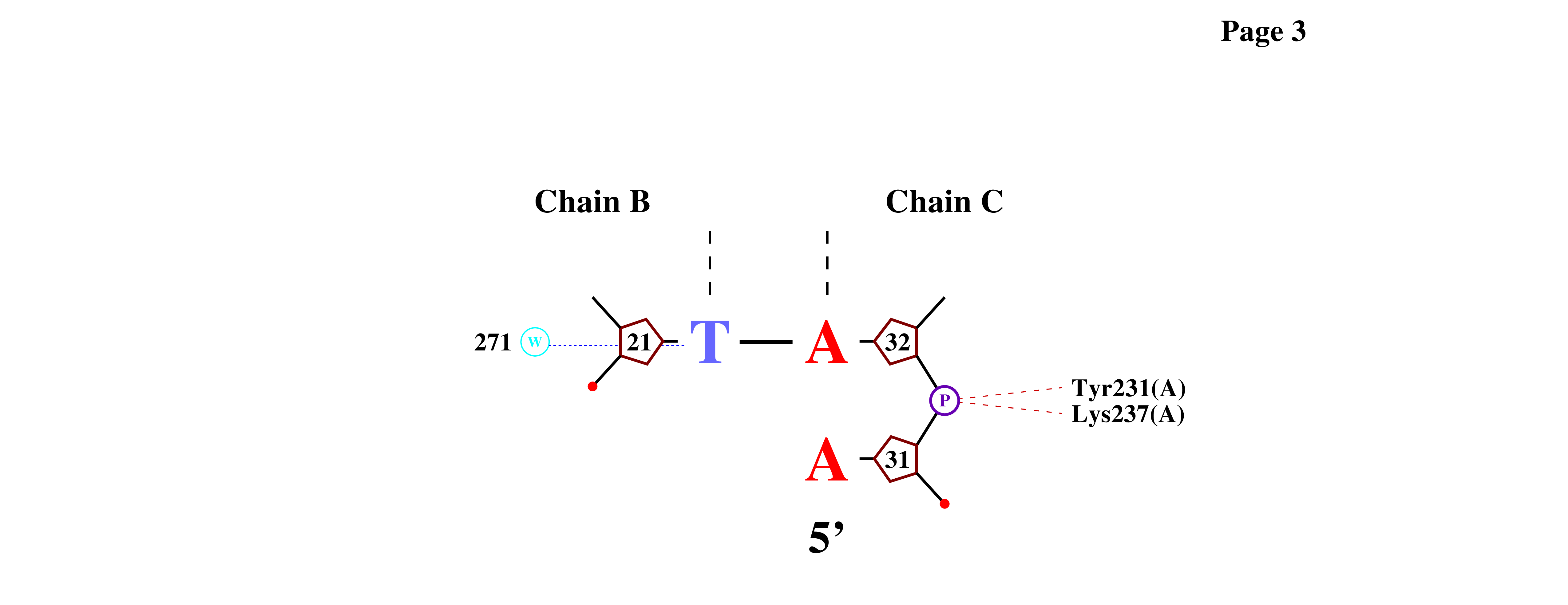 специфическое взаимодействие аргинина с гуанином