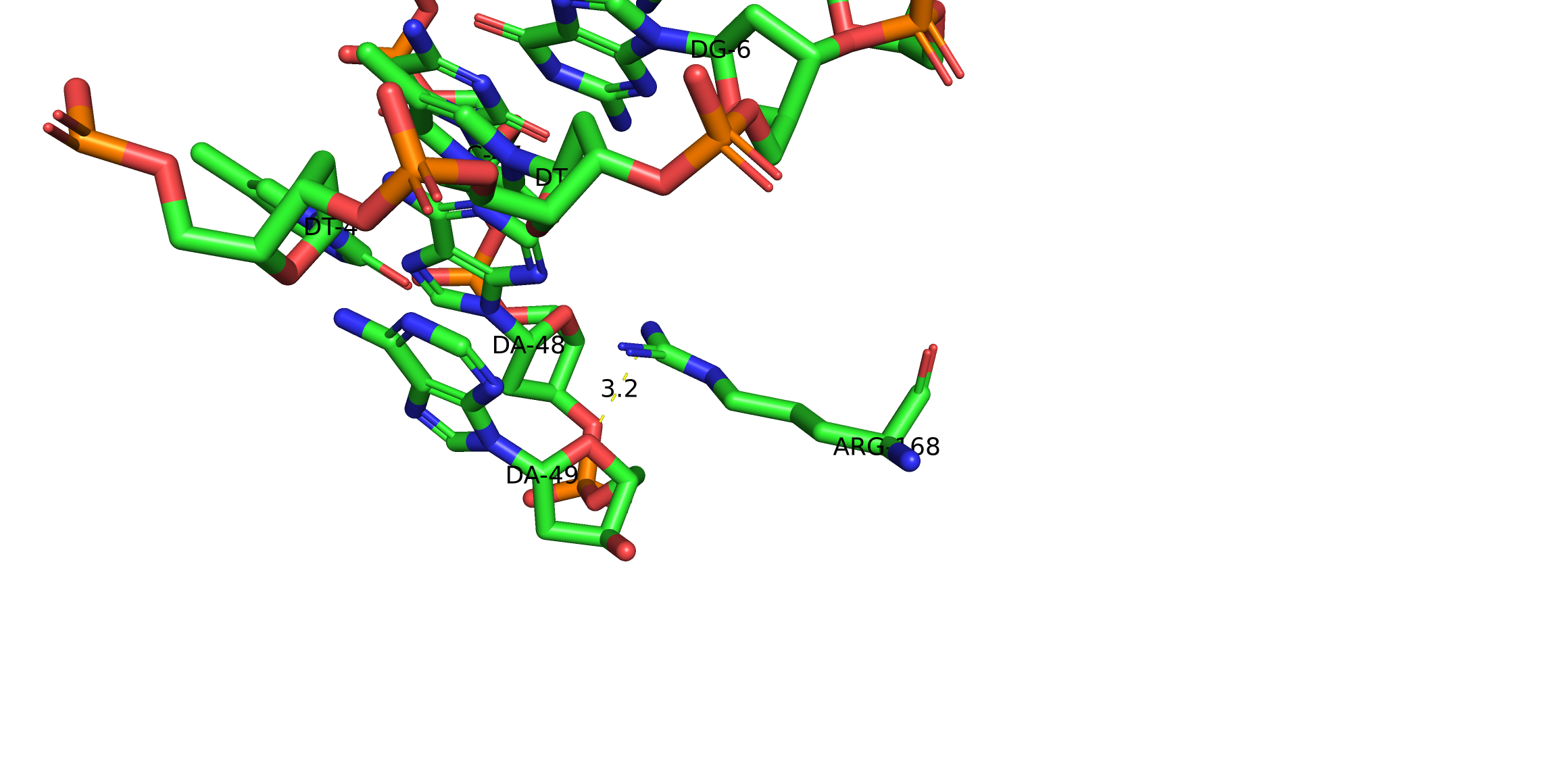контакт arg168 с аденином 49