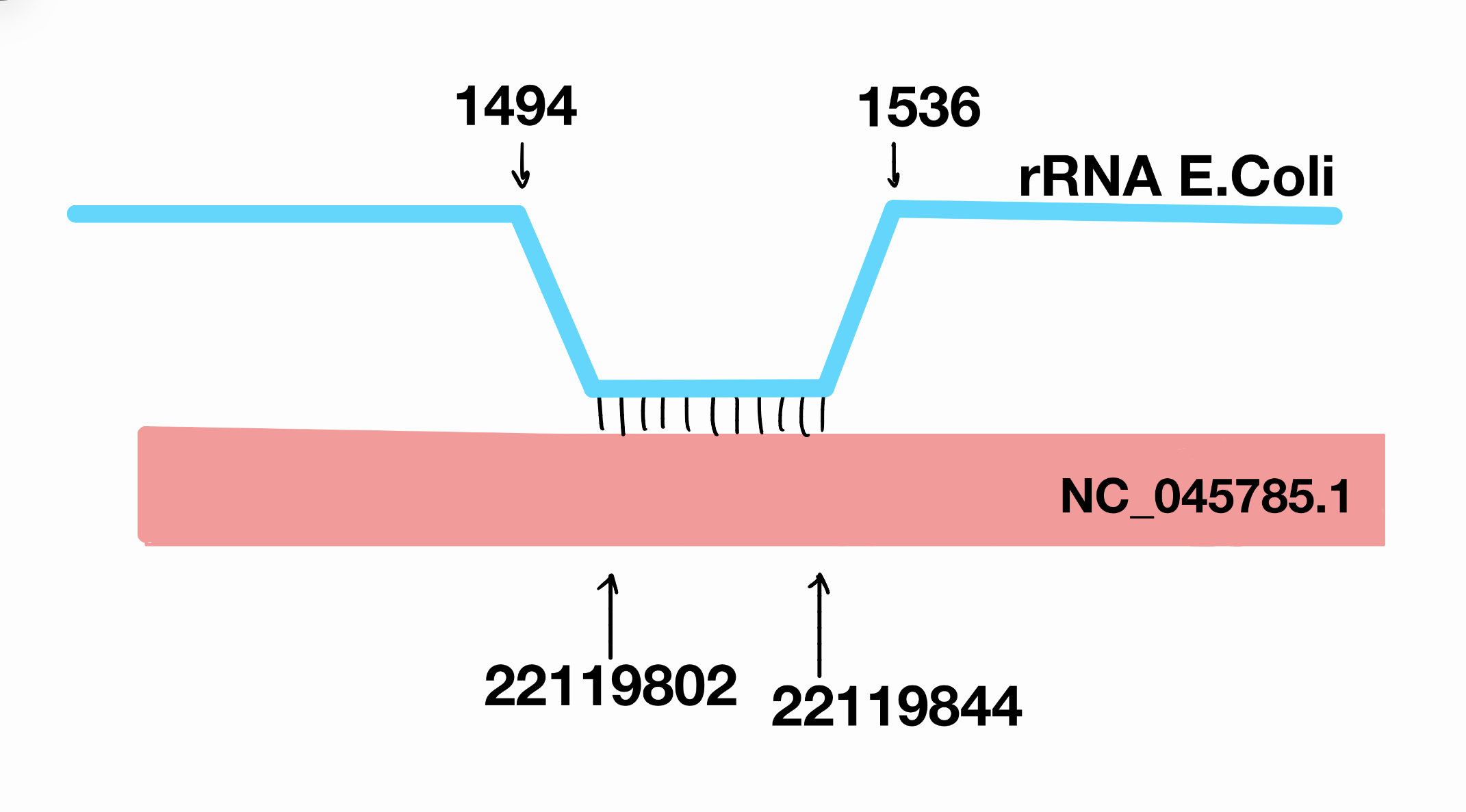 схема выравнивания