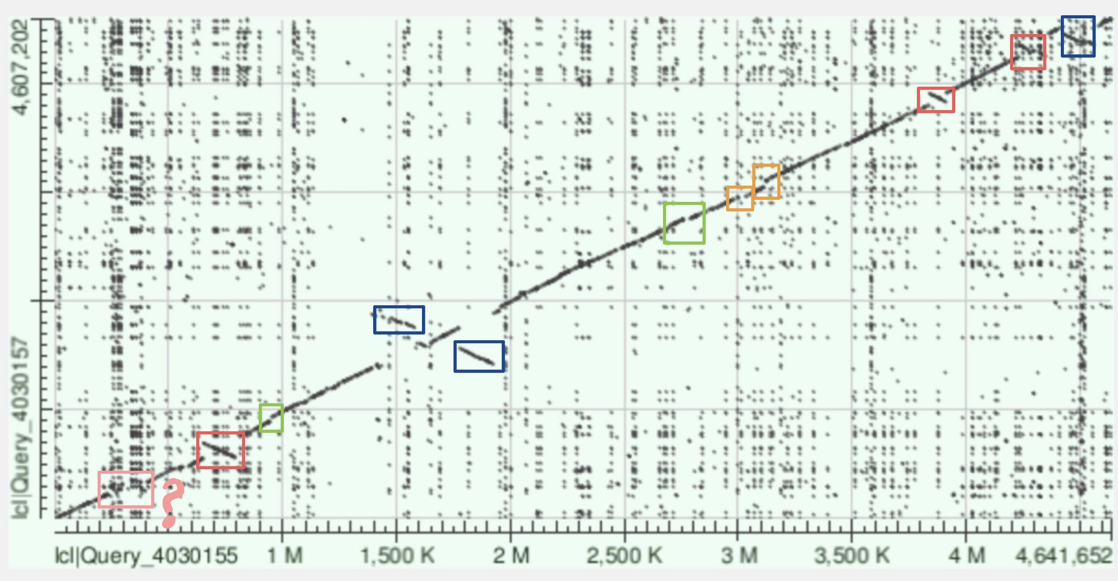 карта megablast