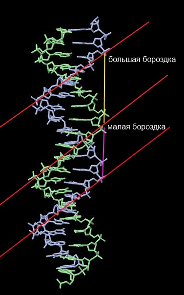 картинка загружается...