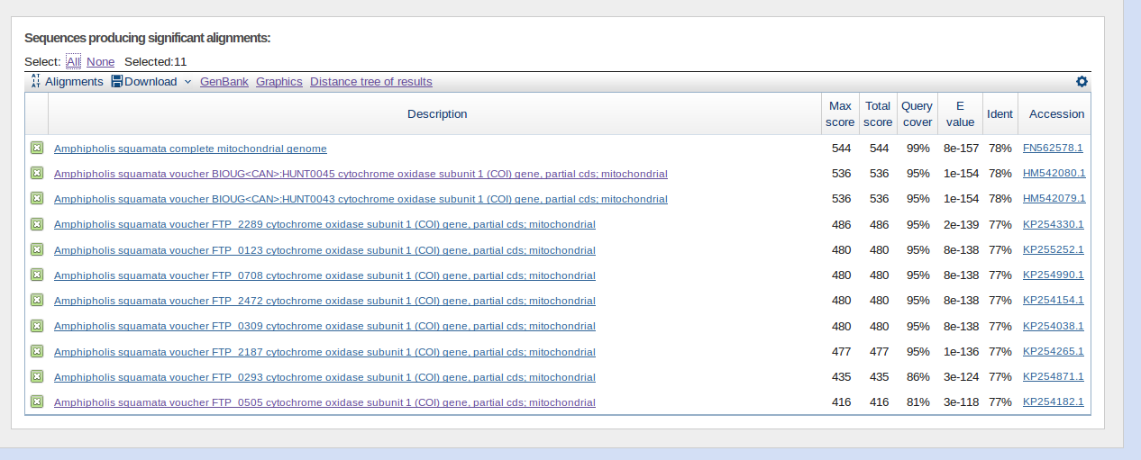 выдача discontiguous megablast