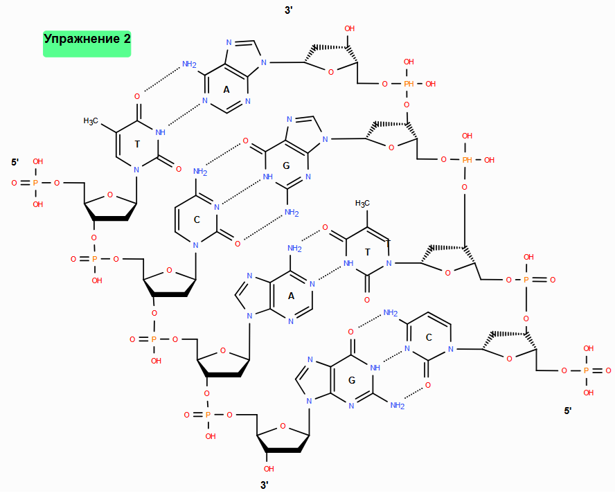 Ex.2