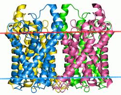 1ldf » Glycerol uptake facilitator