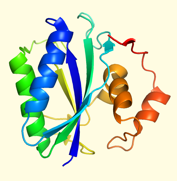 Secondary structures