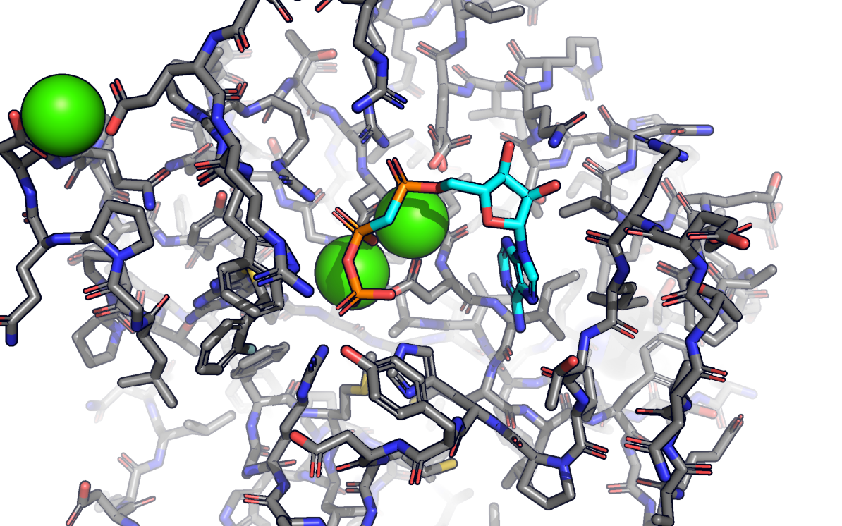 Ligand environment