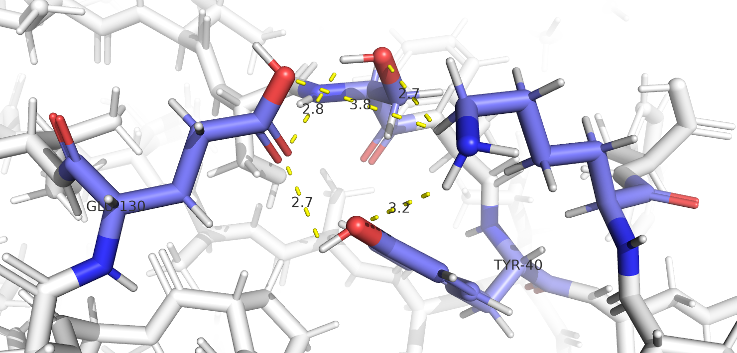 Hydrogen bonds