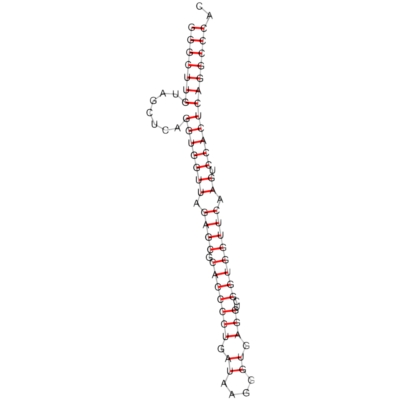 1ffy tRNA