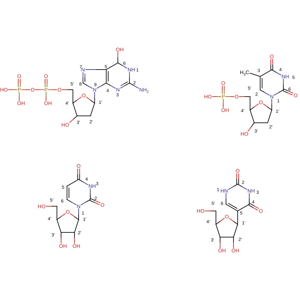 Соединения нуклеотидов
