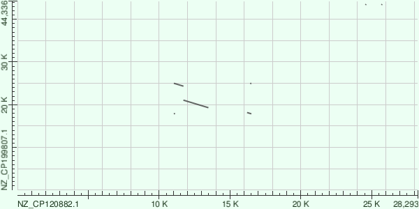 Карта сходства Megablast