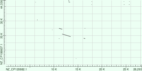 Карта сходства BLASTN