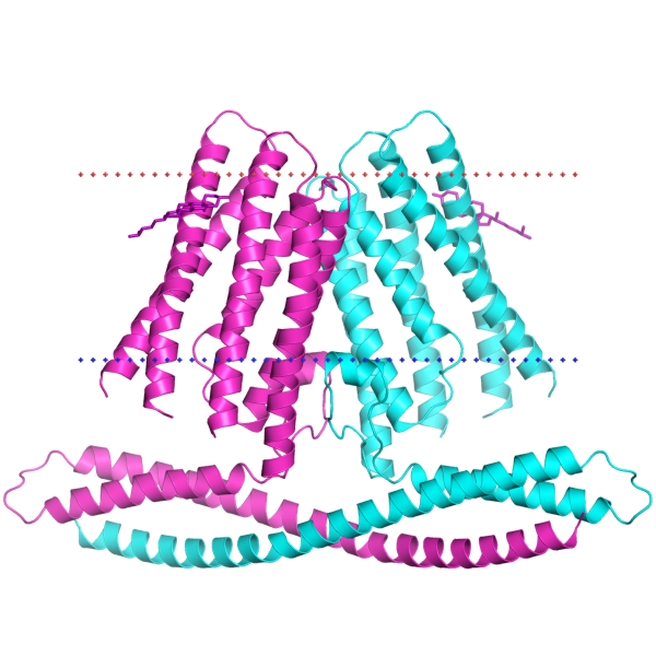 TACAN OPM structure