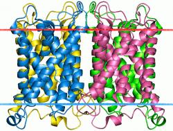 1sor » Aquaporin-0