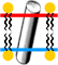 Topology