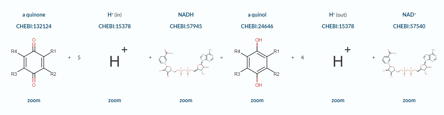 a quinone + 5 H+(in) + NADH = a quinol + 4 H+(out) + NAD+