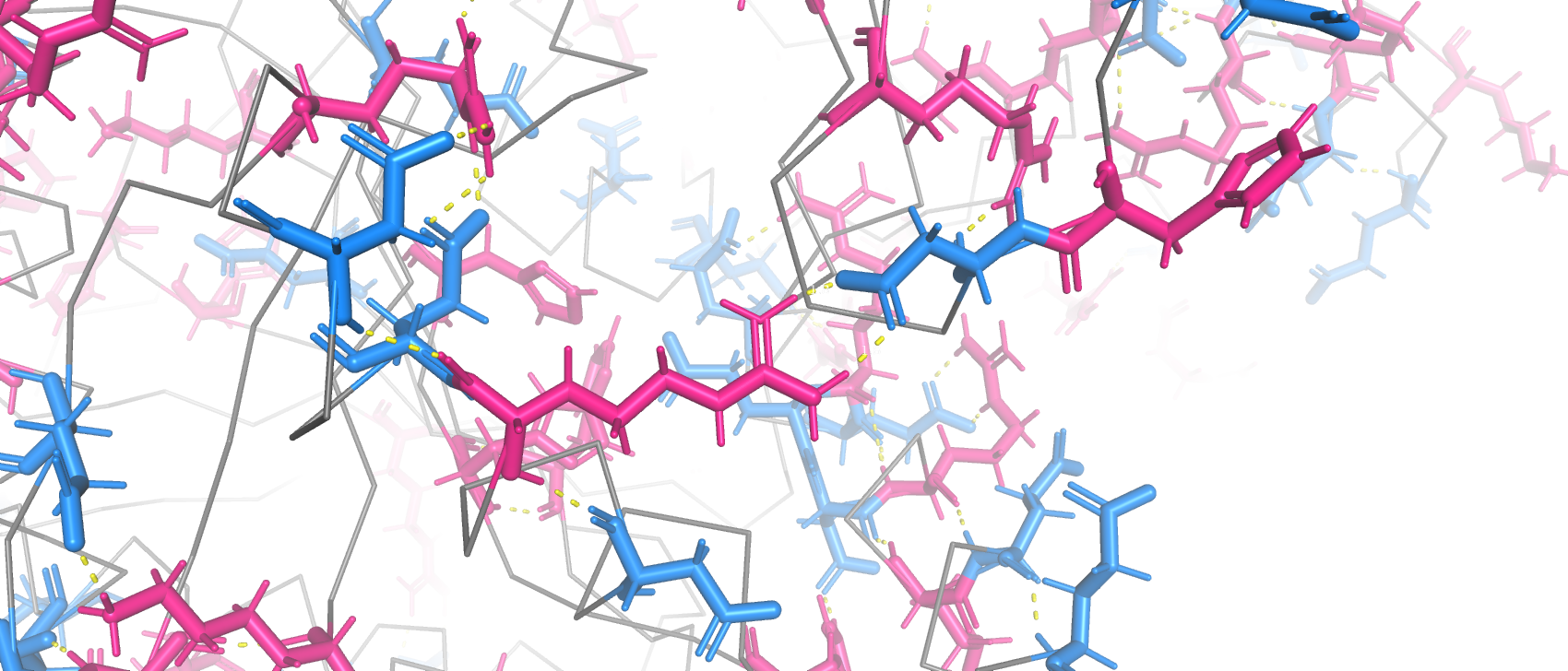Солевые мостики между заряженными аминокислотами