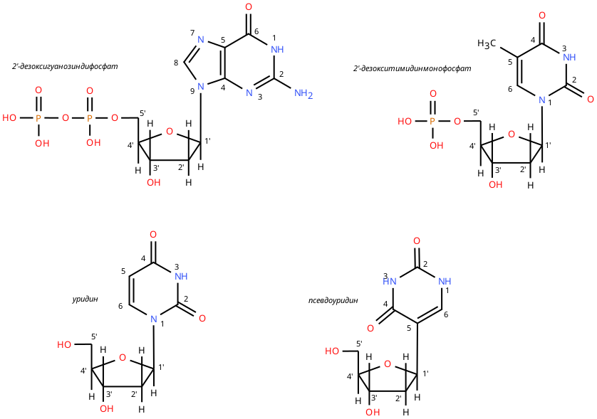 рис. 1