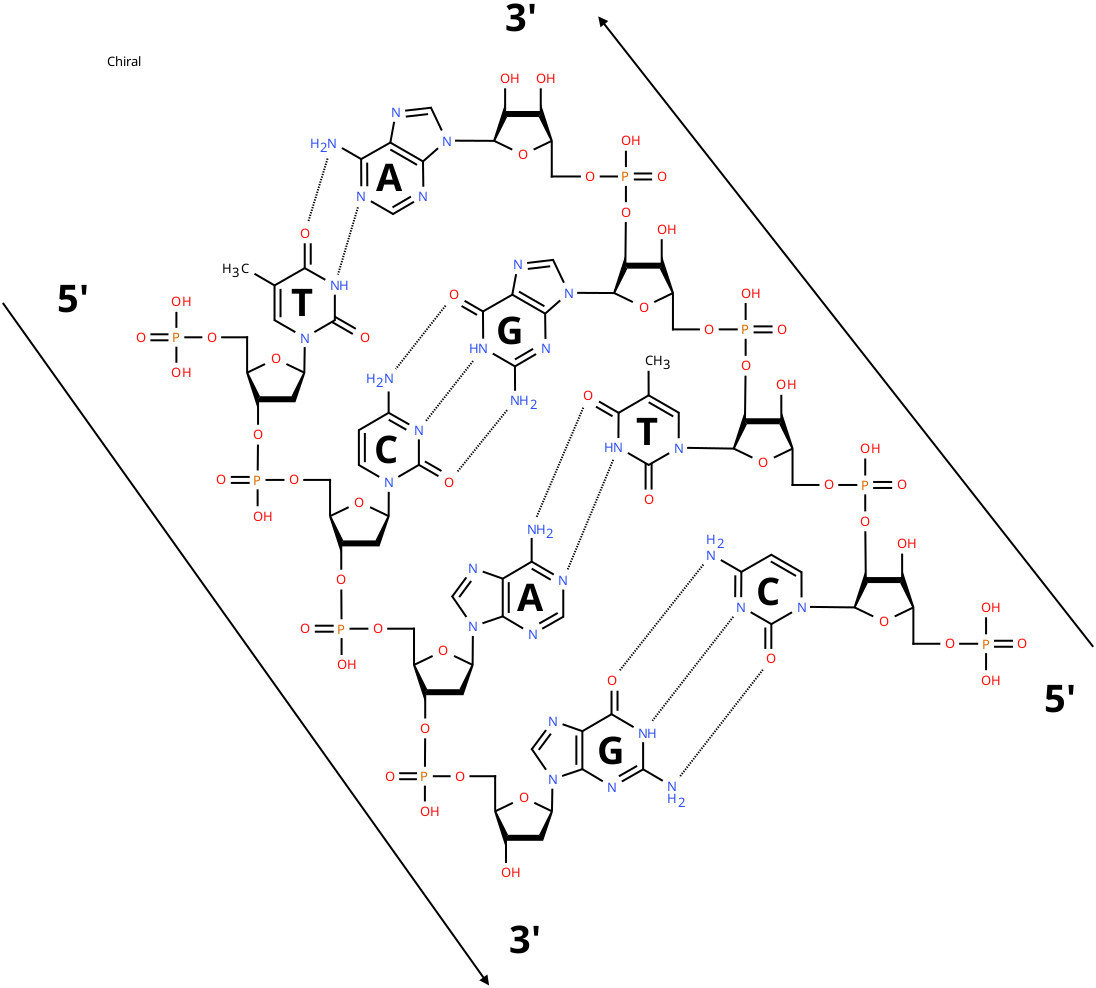 рис. 2