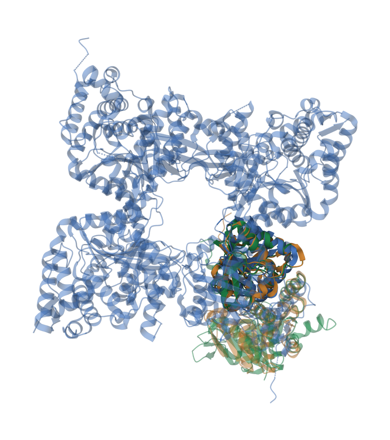 Моя фотография