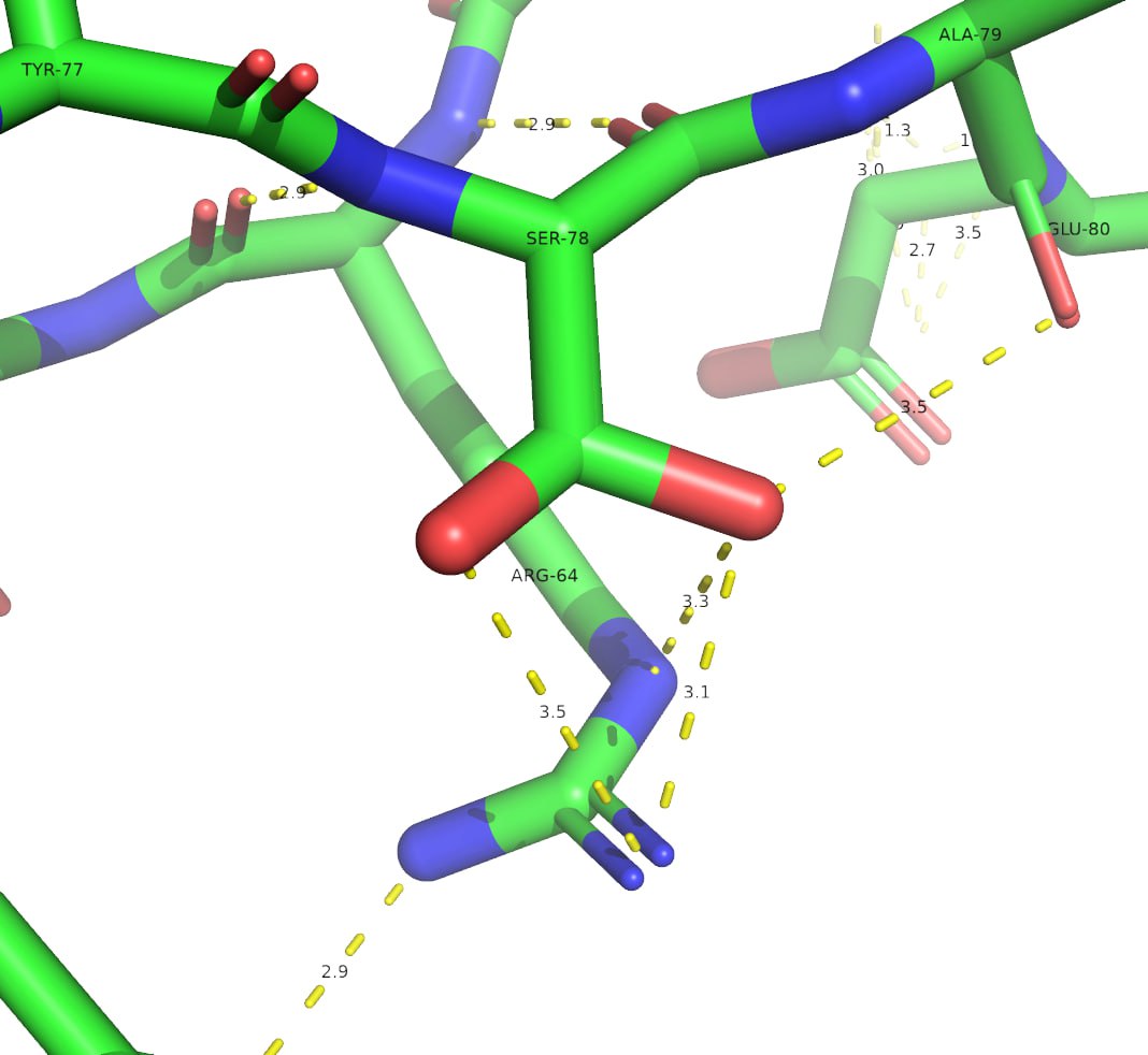 Описание картинки