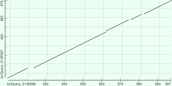 Моя фотография