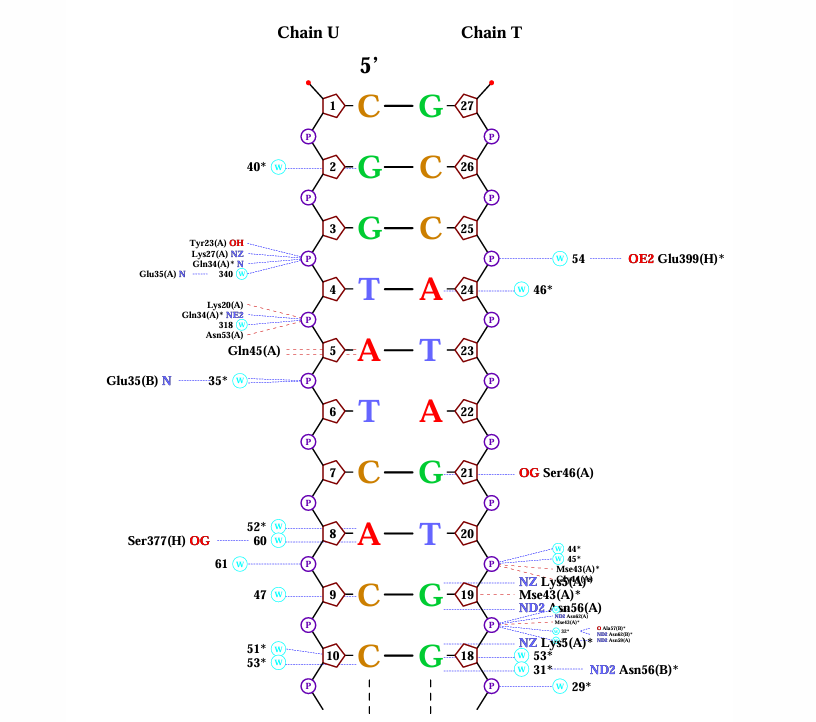 Моя фотография