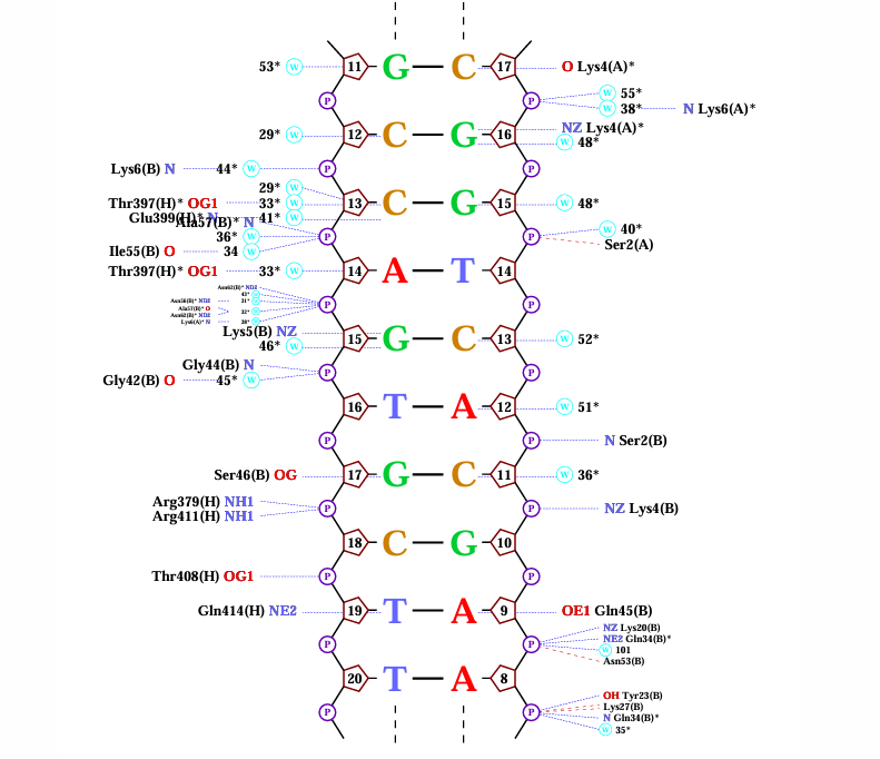Моя фотография