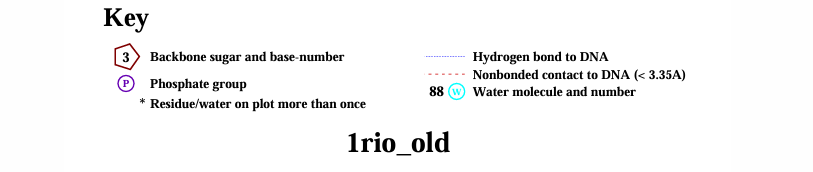 Моя фотография