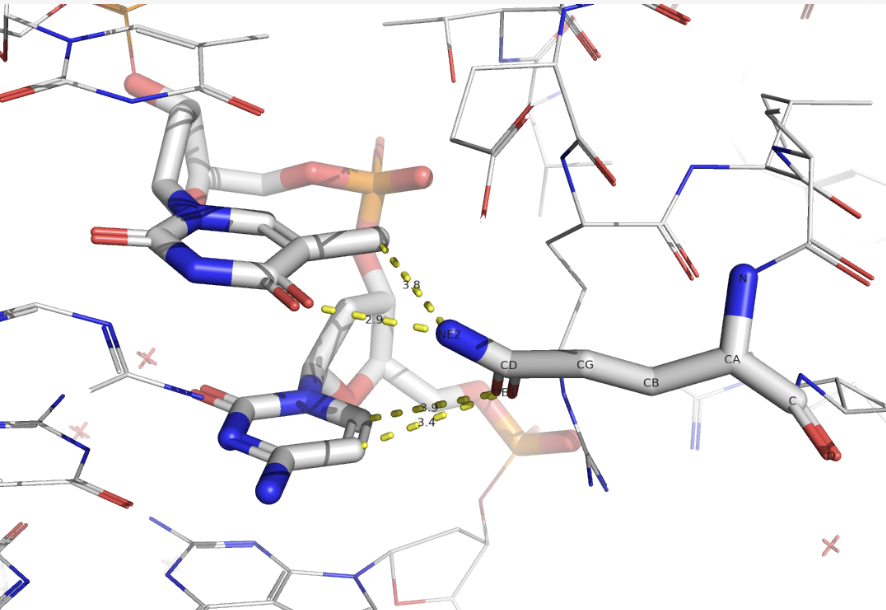 Моя фотография